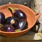 Traditional Terracotta Bowl - Medium