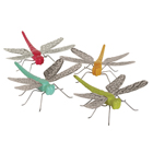 Garden Dragonflies