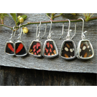 Sterling Silver Butterfly Earrings (Rectangle)