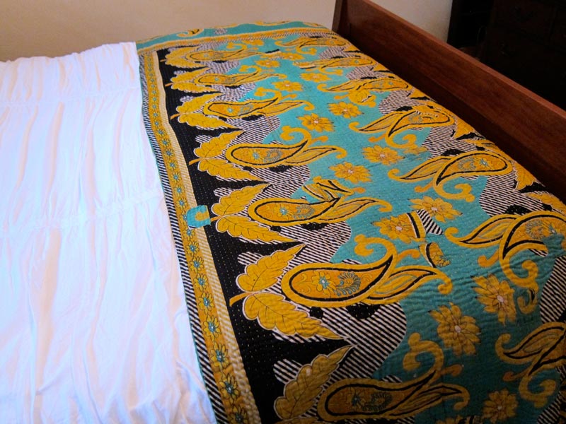 Sari Throw - Paisley Party