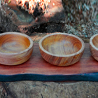 Coyote Serving Trio